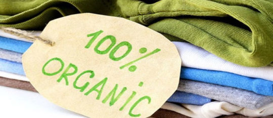 vêtements biologiques